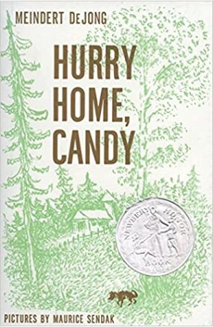 Hurry Home, Candy Meindert De Jong