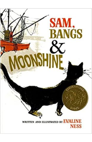 Sam, Bangs and Moonshine by Evaline Ness