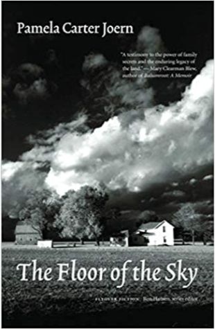 The Floor of the Sky by Pamela Carter Joern