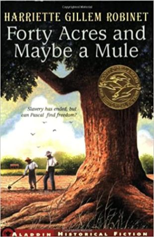 Forty Acres and Maybe a Mule by Harriette Gillem Robinet