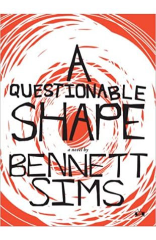 A Questionable Shape by Bennett Sims