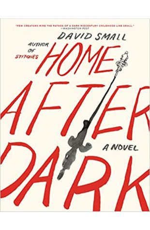 Home After Dark David Small