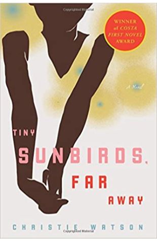 Tiny Sunbirds, Far Away by Christie Watson