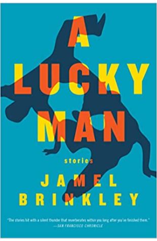 A Lucky Man: Stories Jamel Brinkley