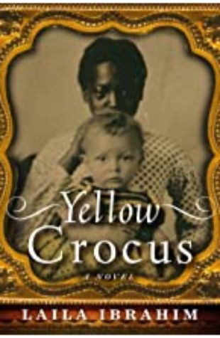 YELLOW CROCUS by Laila Ibrahim