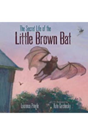 The Secret Life of the Little Brown Bat Laurence Pringle