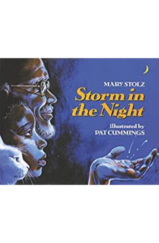 Storm in the Night Pat Cummings