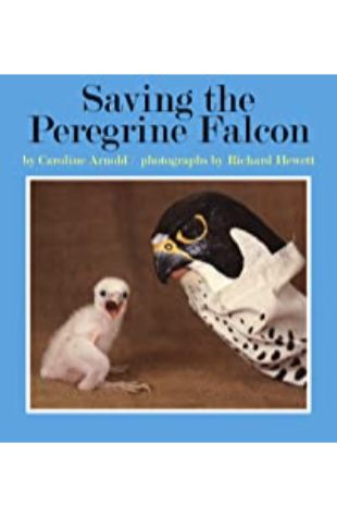 Saving the Peregrine Falcon Caroline Arnold