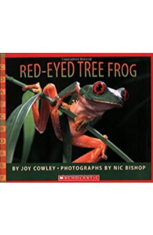 Red-Eyed Tree Frog by Joy Cowley