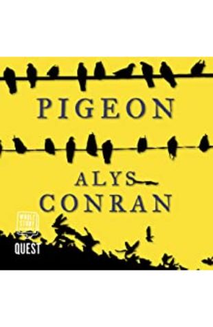 Pigeon Alys Conran