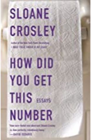 How Did You Get This Number Sloane Crosley