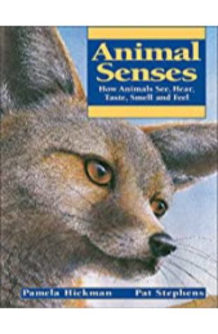 Animal Senses: How Animals See, Hear, Taste, Smell and Feel Pamela Hickman; illustrated by Pat Stephens