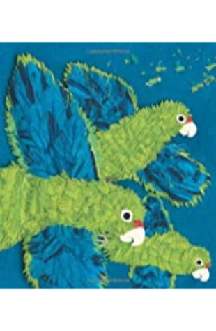 Parrots Over Puerto Rico by Cindy Trumbore